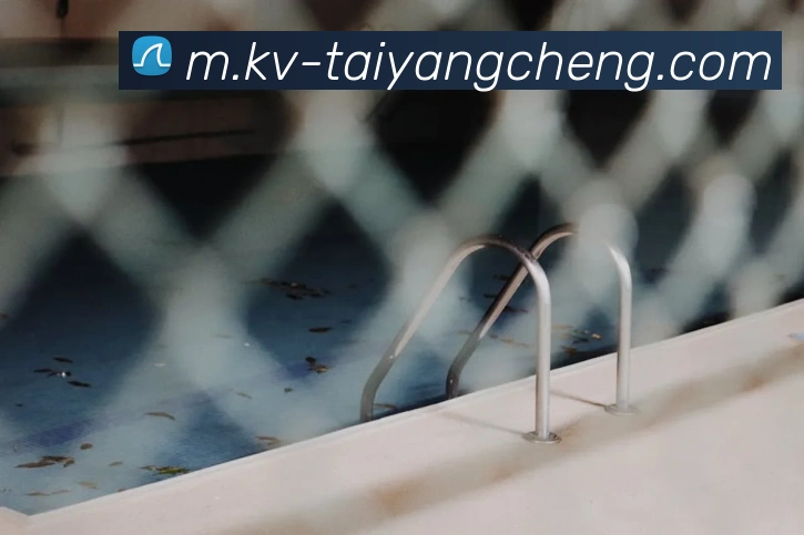 太阳城网站平台生态图