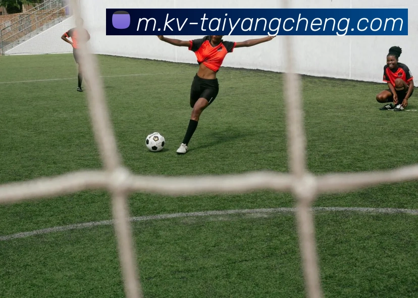 太阳城网站APP 封面图